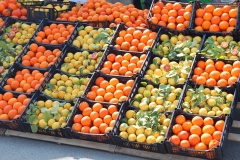 lots of citrus fruit crates with ripe oranges and yellow lemons for sale in the greengrocer s stall at the open-air vegetable market